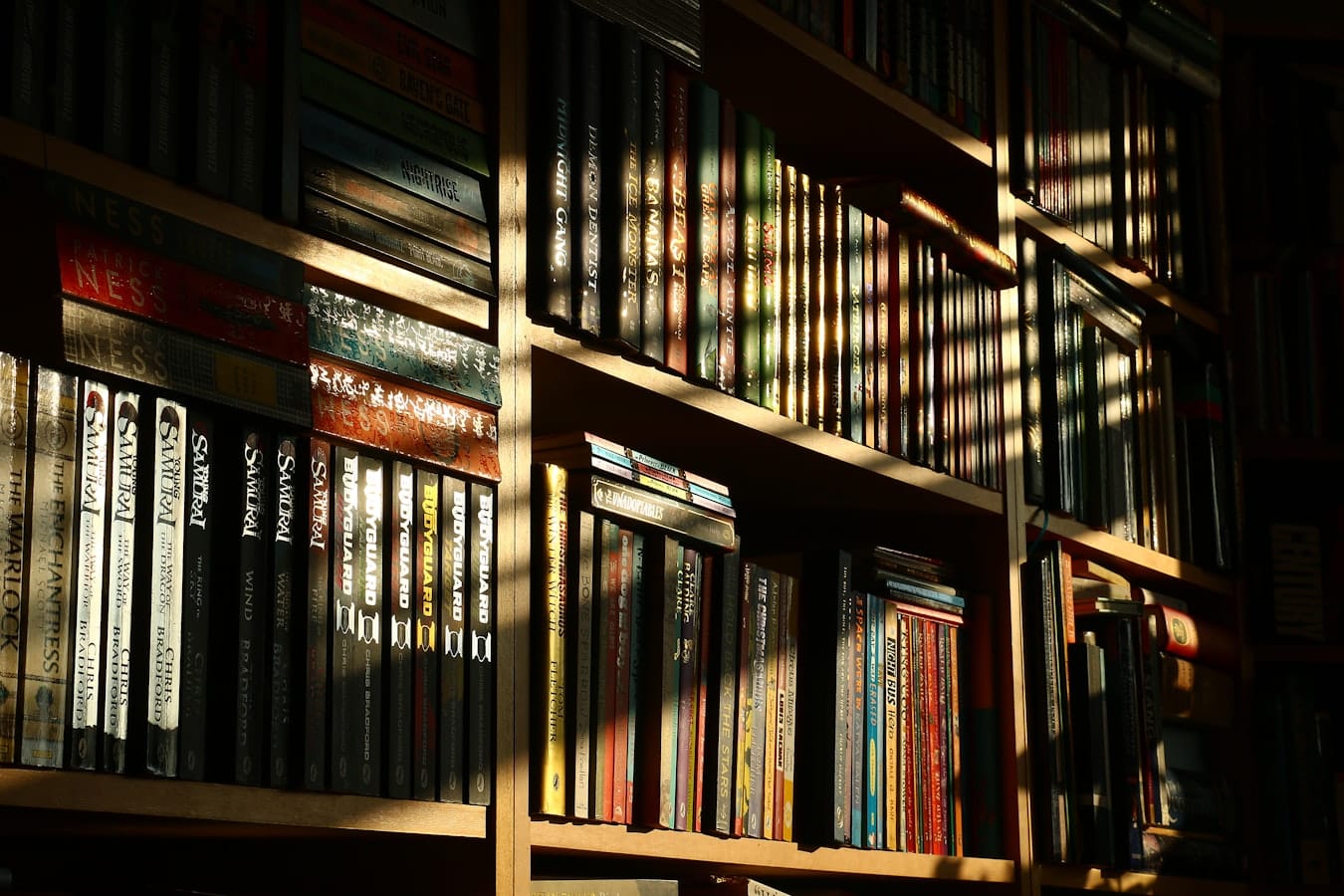 أرفف مكتبة منظمة — فهرسة مقالات قاعدة المعرفة