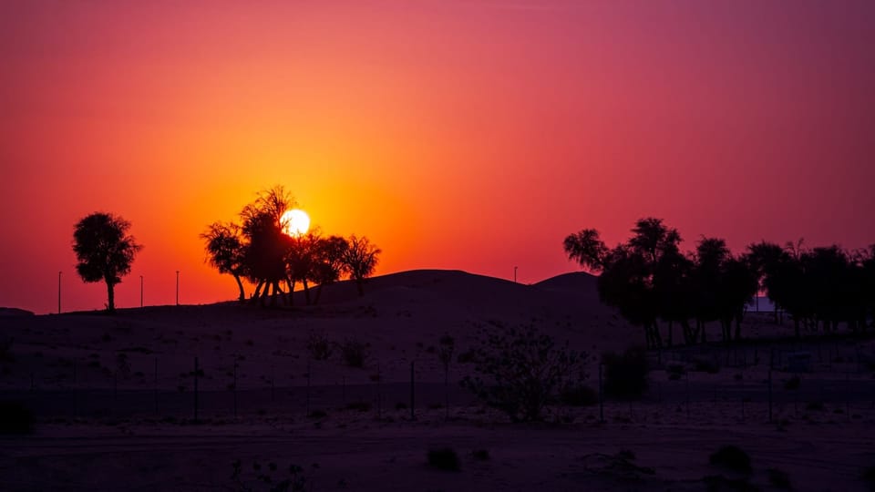 صورة تعبيرية عن الشعر الشعبي والنبطي