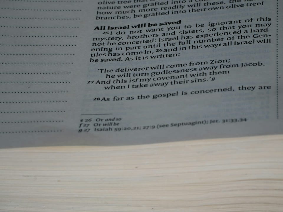 صورة تعبيرية عن قالب سيرة ذاتية Word وPDF