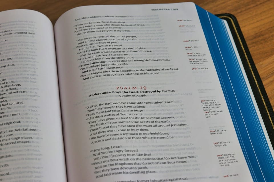 صورة تعبيرية عن كتابة بايو إنجليزي مع ترجمة عربية