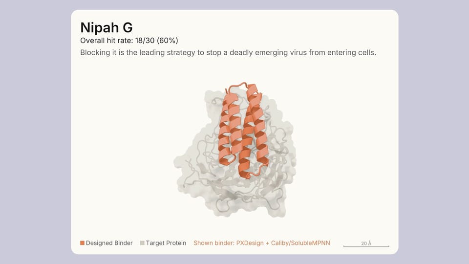 Claude Fable 5.1 Released: 75% Cheaper Caching, Fewer Refusals, and a Watermark Rule